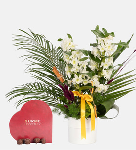 Beyaz Saksıda Dendrobium ve Kalp Gurme Lezzet