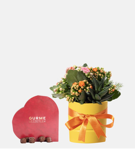 Sarı Saksıda Pembe Kalanchoe ve Kalp Gurme Lezzet